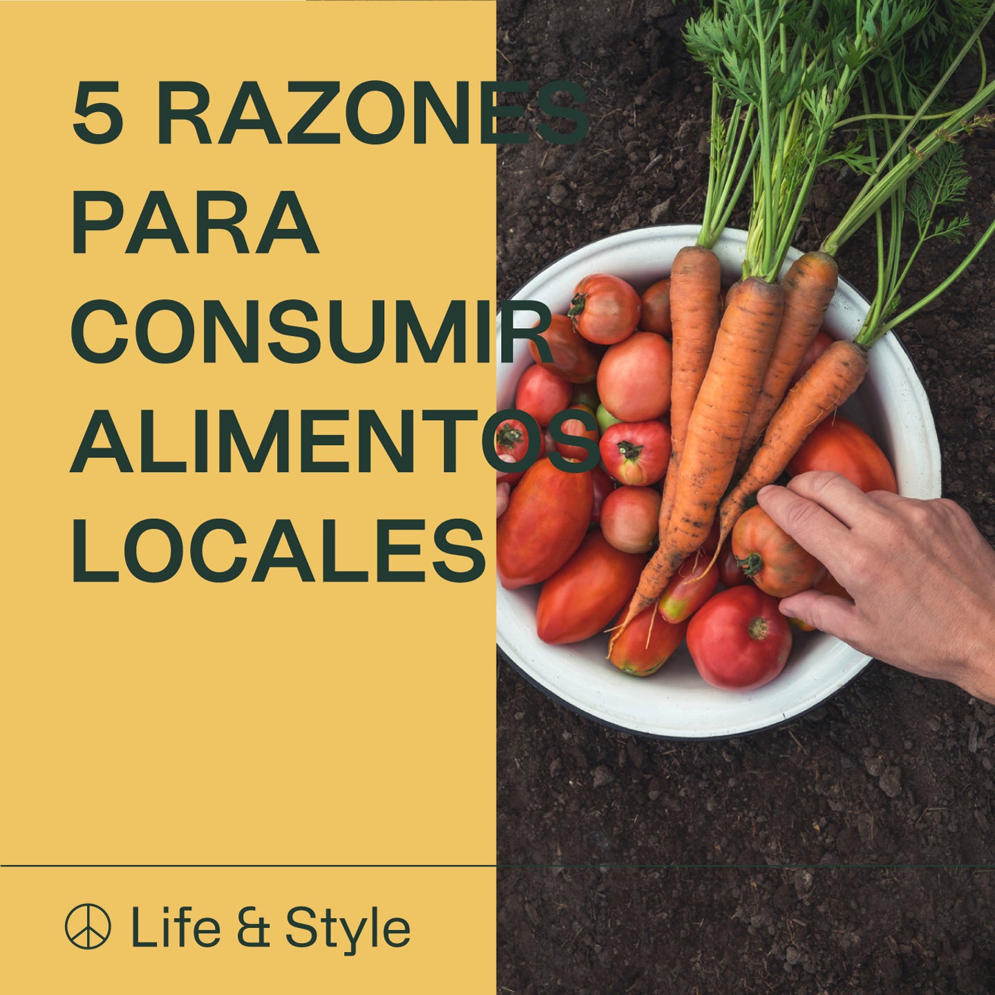 5 Razones para Consumir Alimentos Locales: Frescura, Salud y Sostenibilidad