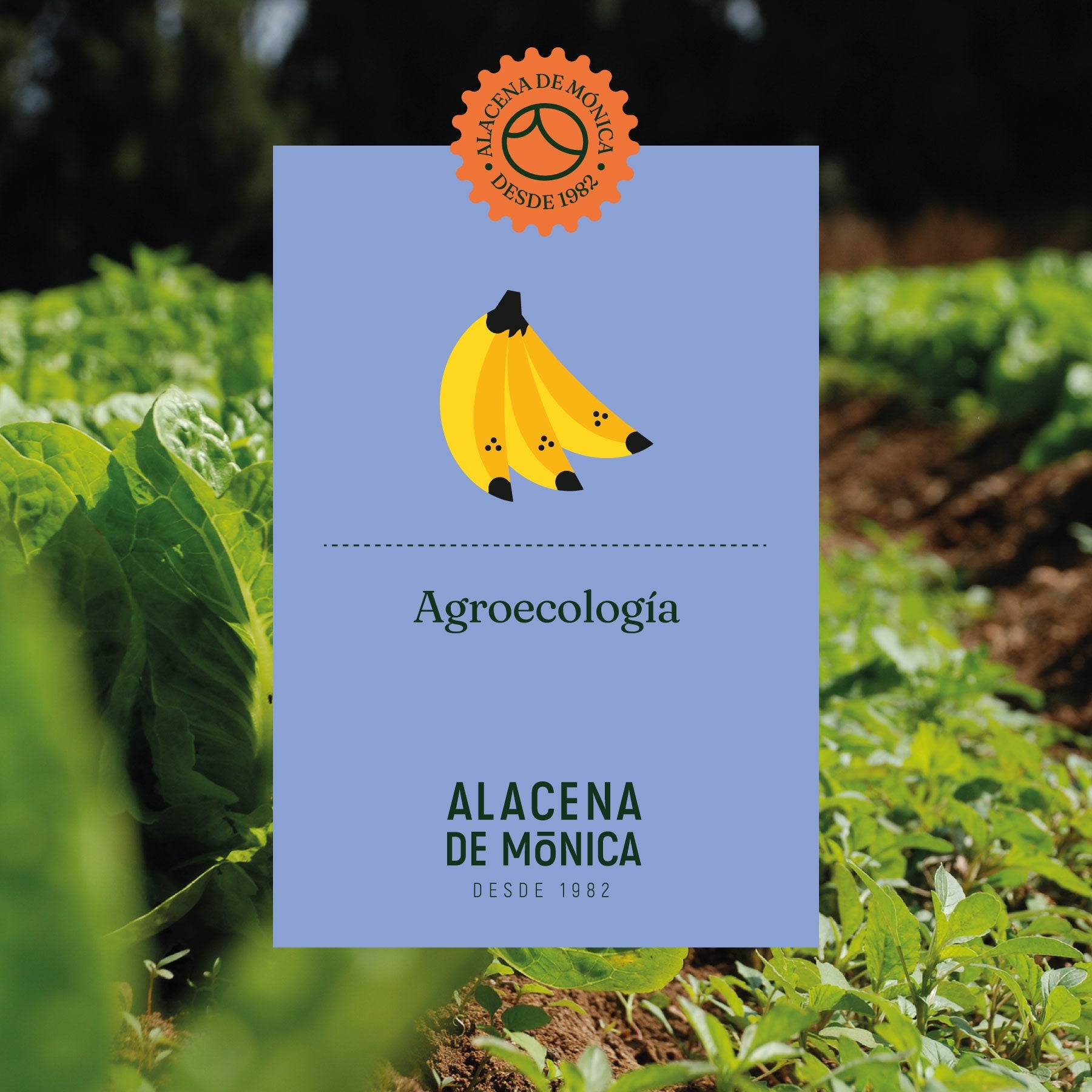 Agroecología: ¿Qué es y Cómo Transformará la Agricultura Sostenible?