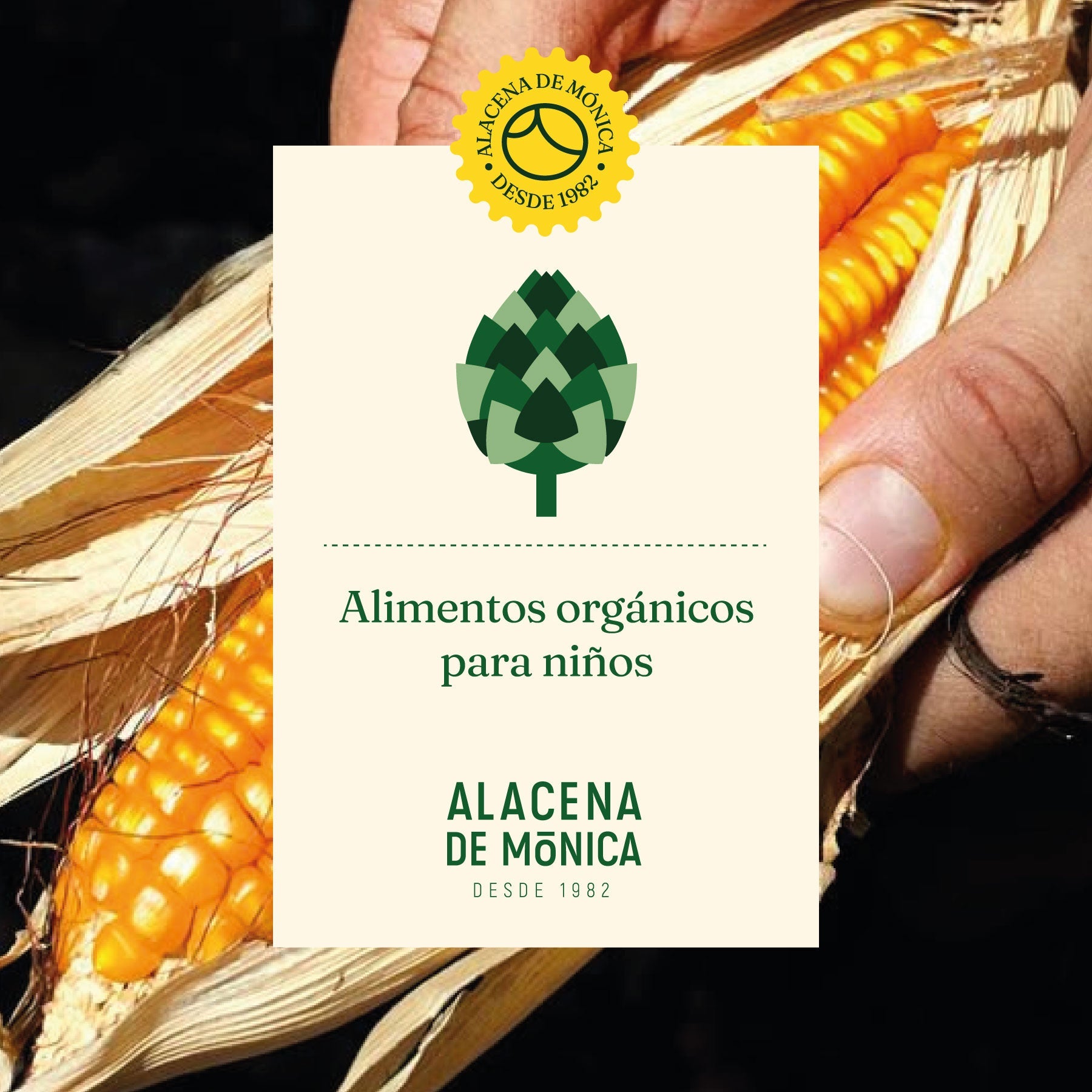 Alimentos orgánicos para niños: por qué y cómo incluirlos en su dieta