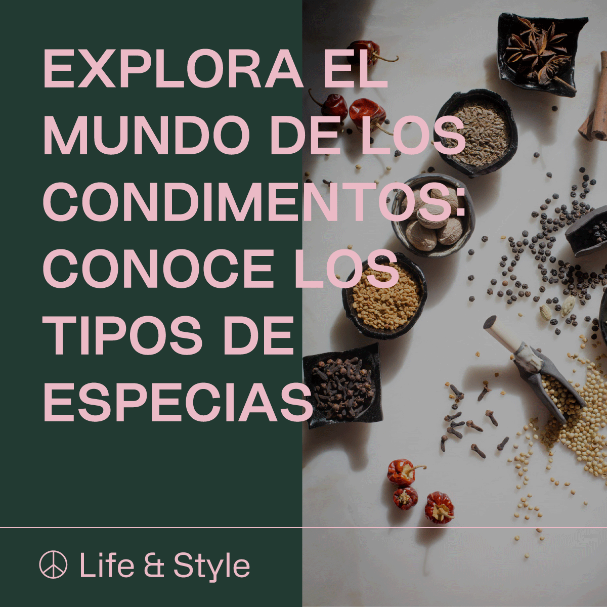 Explora el mundo de los condimentos: Conoce los tipos de especias