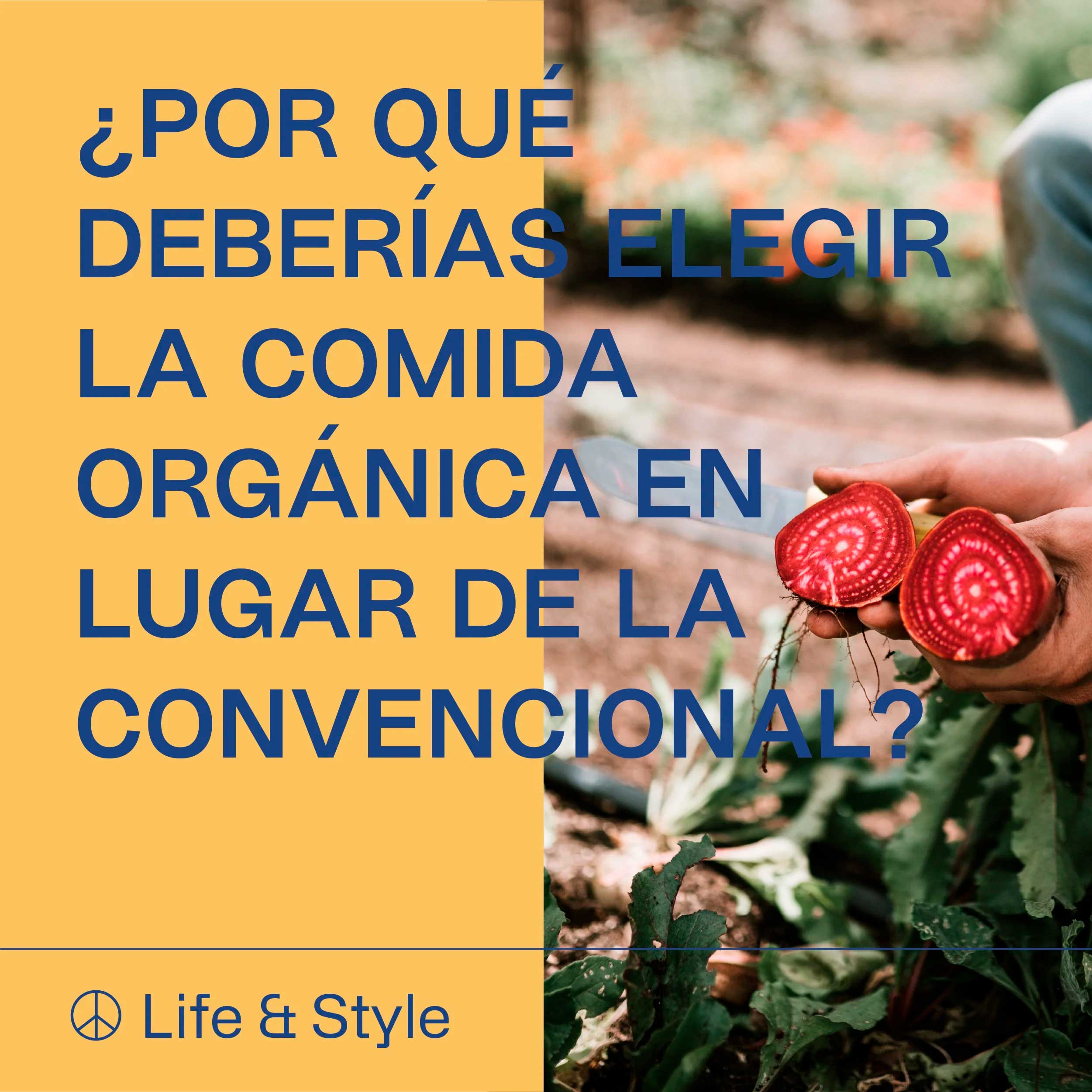 ¿Por qué deberías elegir la comida orgánica en lugar de la convencional?