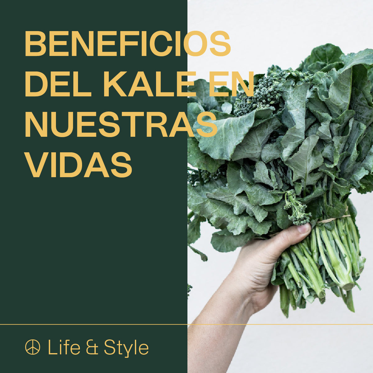 Beneficios del Kale en nuestras vidas.