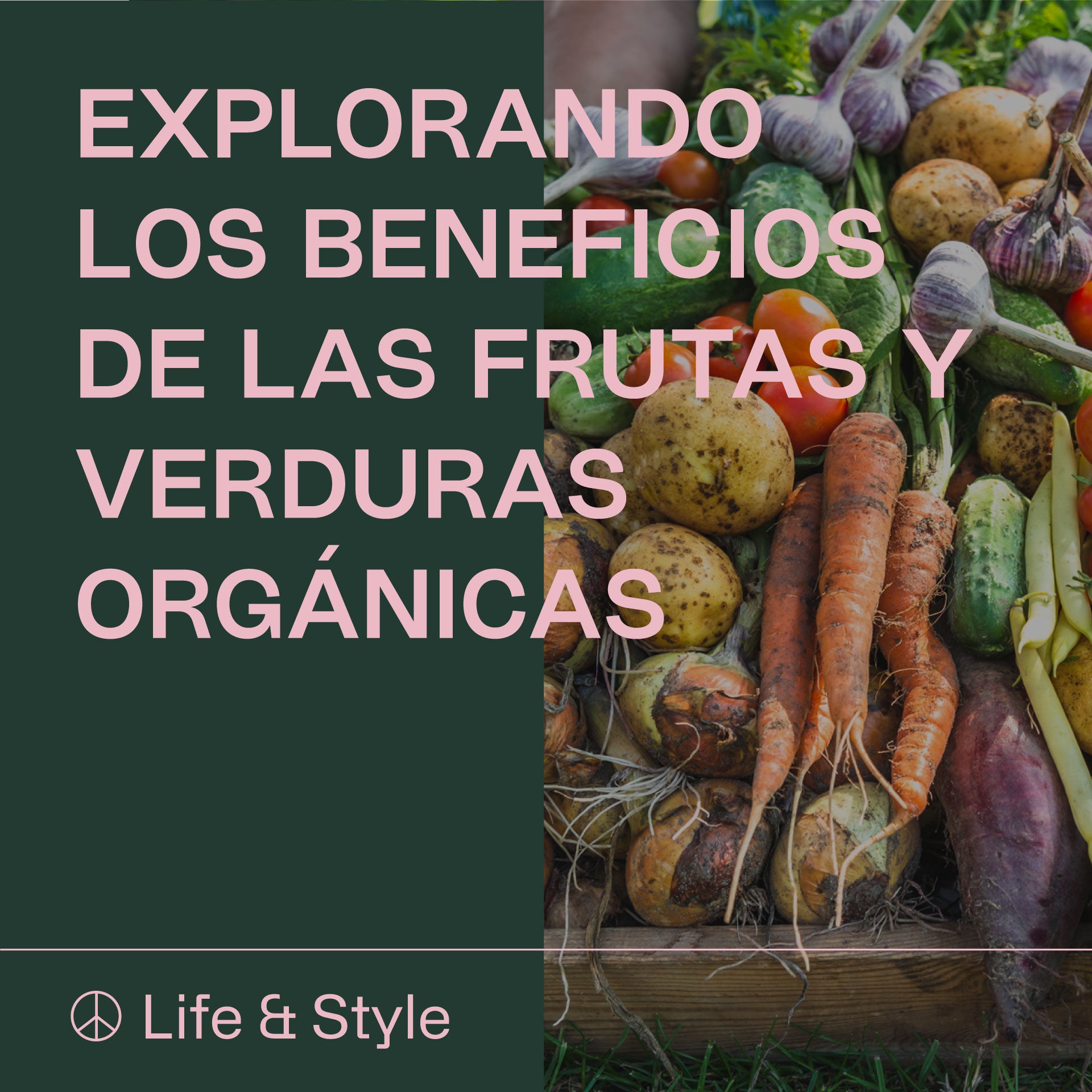 Explorando los beneficios de las Frutas y Verduras Orgánicas