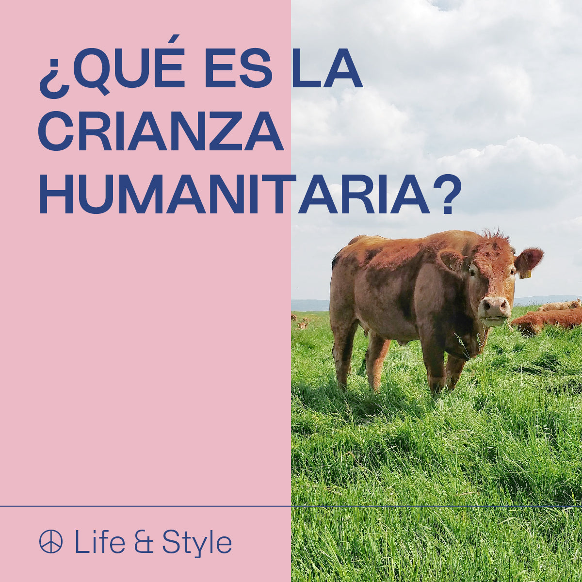 ¿Qué es la crianza humanitaria?
