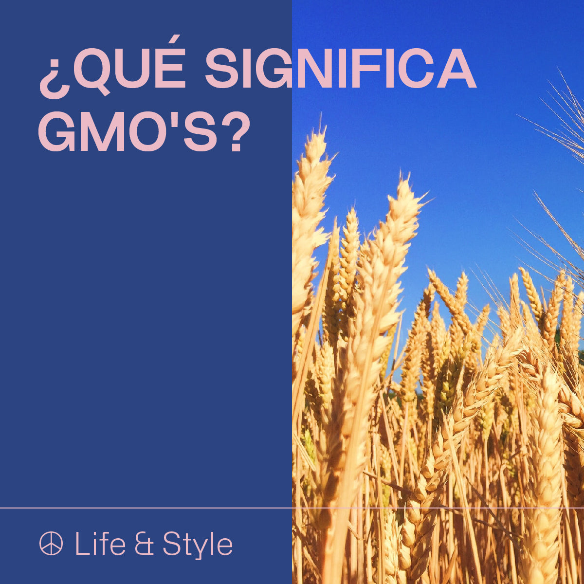 ¿Ya sabes qué son los GMO's?