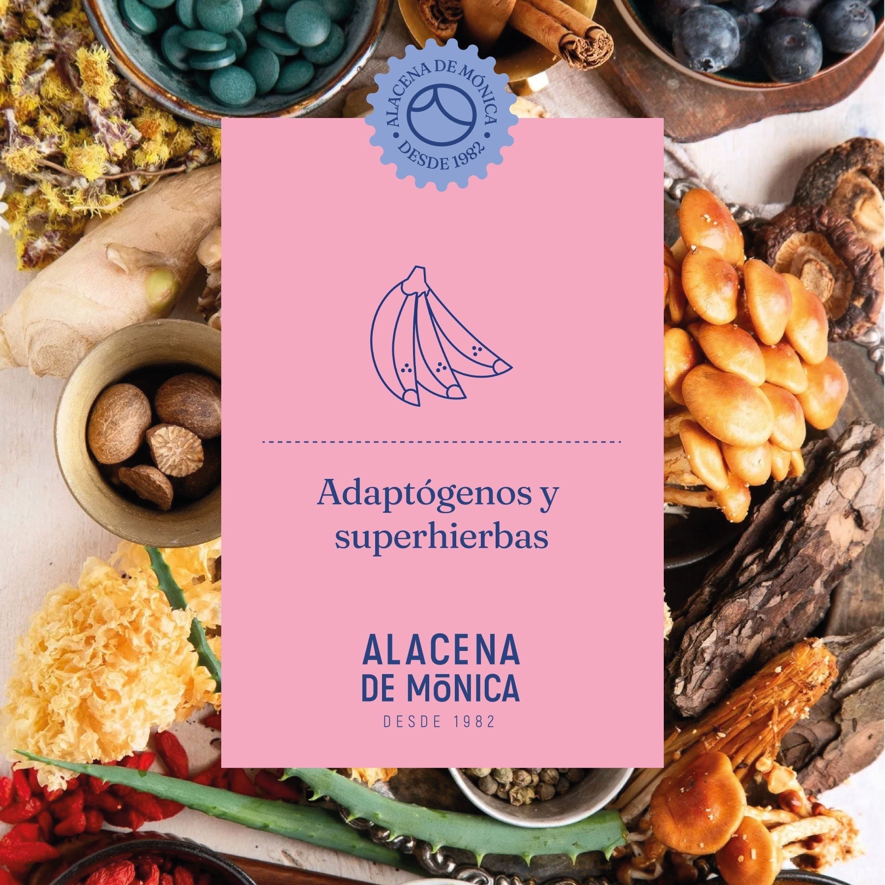 Adaptógenos y Superhierbas: Nutrición Personalizada para el Estrés