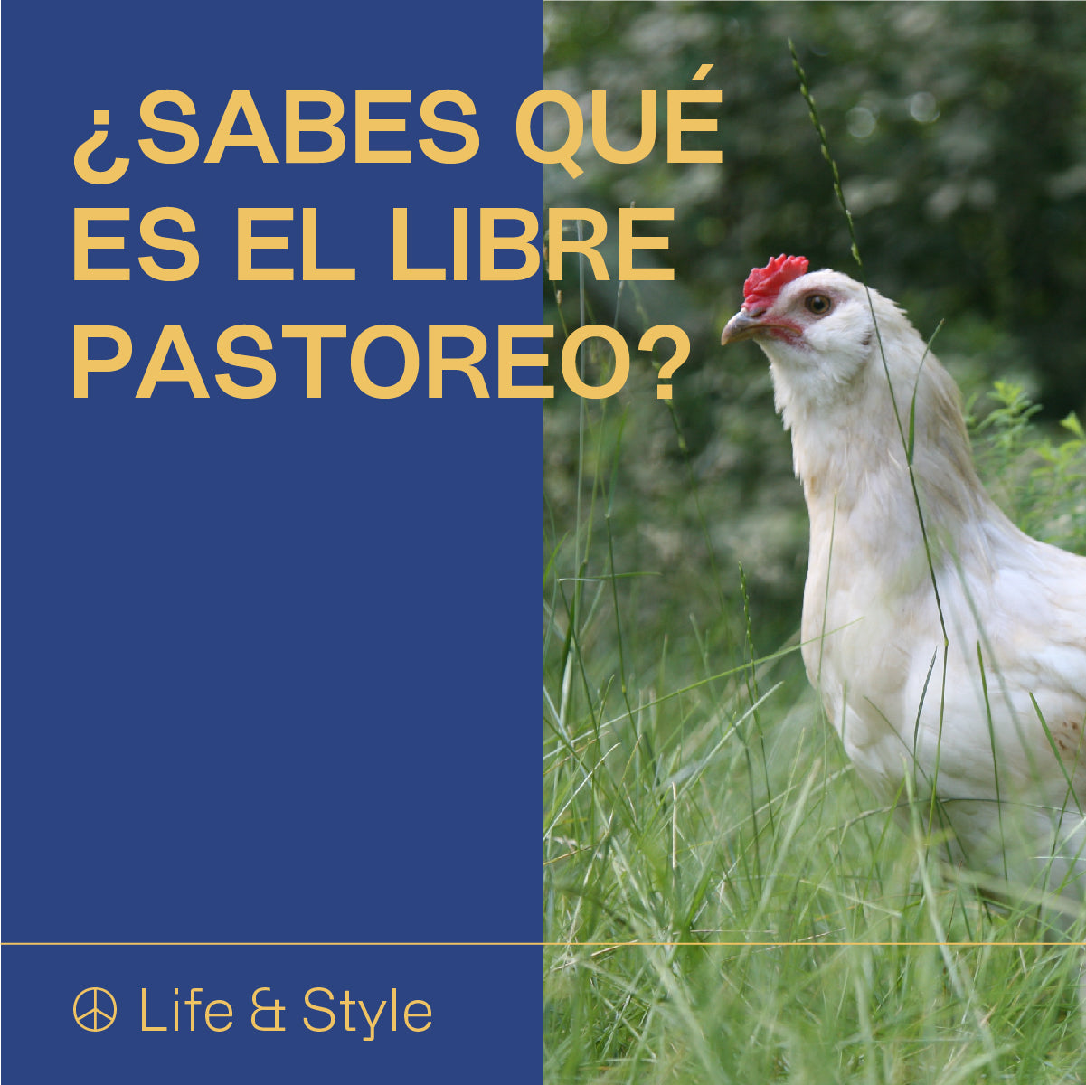 ¿Sabes qué es el libre pastoreo?