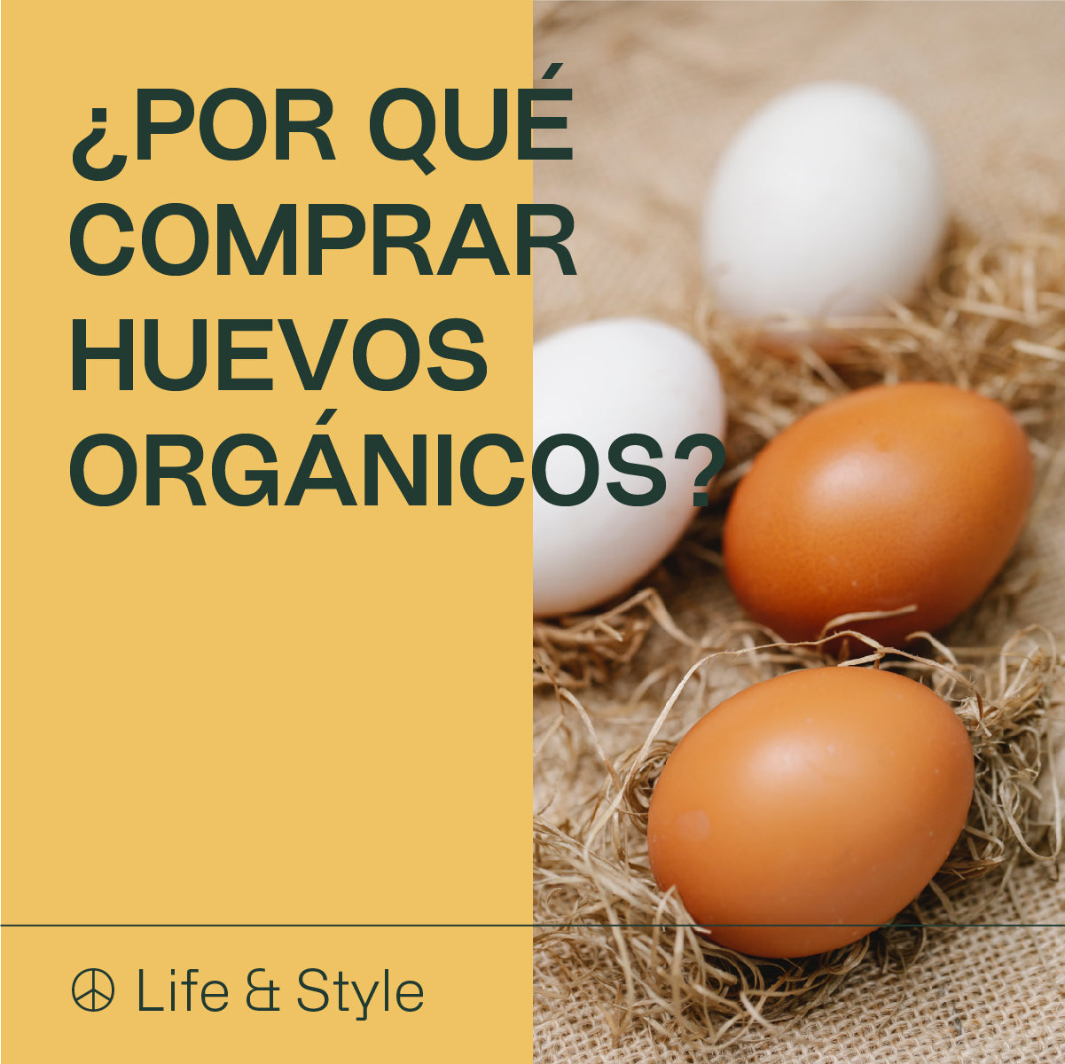 ¿Por qué comprar huevos orgánicos?