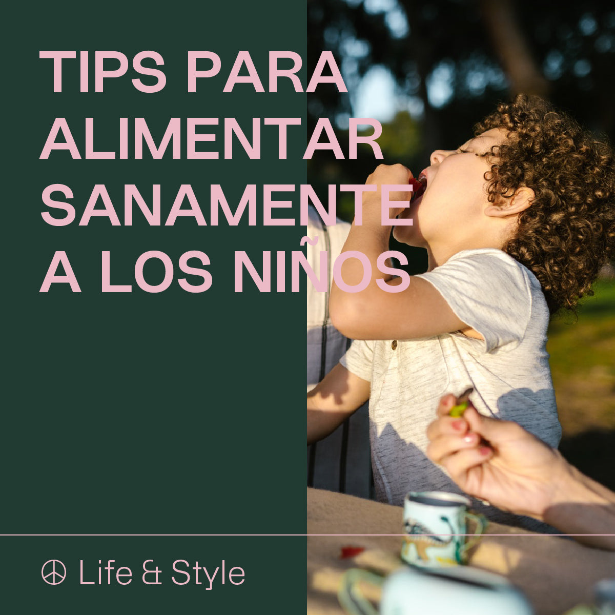 Tips para alimentar sanamente a los niños