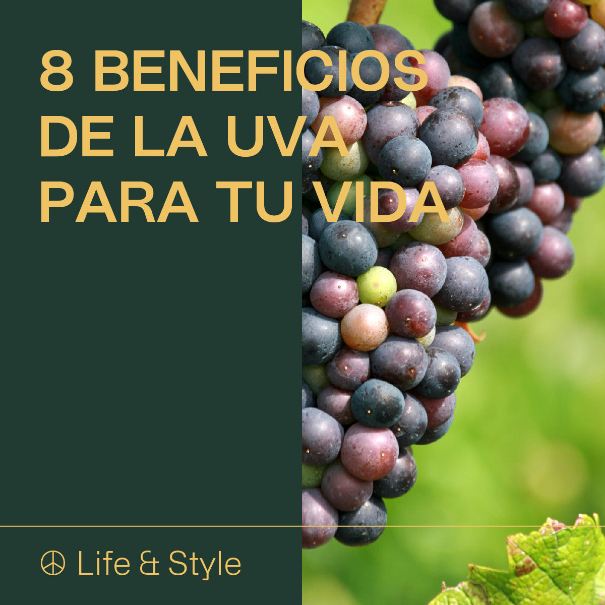 8 beneficios de la uva para tu vida