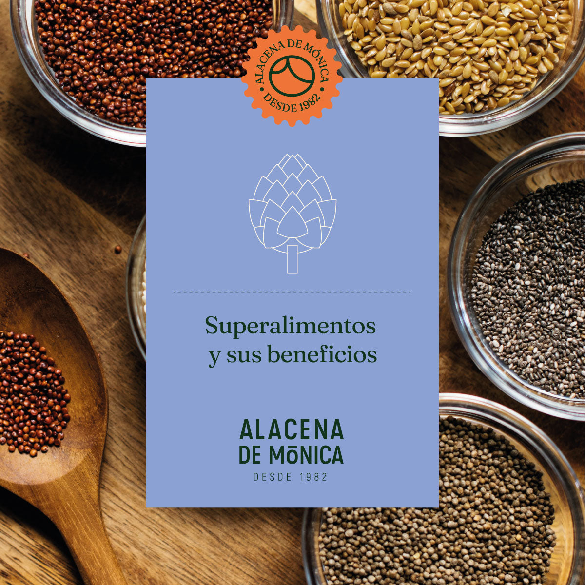 Beneficios de los Superalimentos para una Vida Saludable