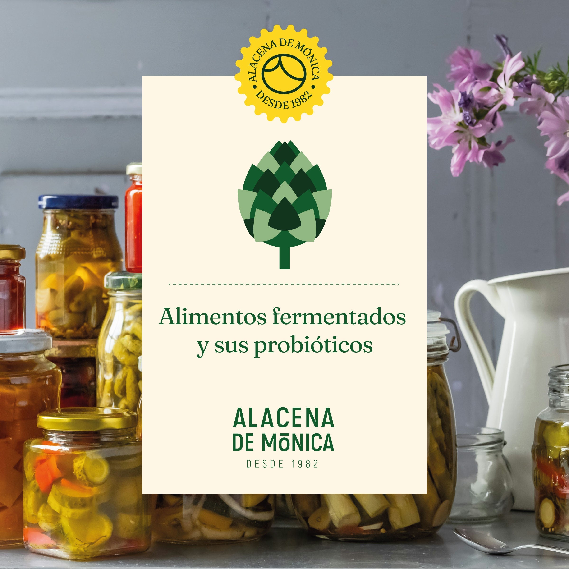 Alimentos Fermentados: Probióticos Naturales para tu Bienestar Digestivo