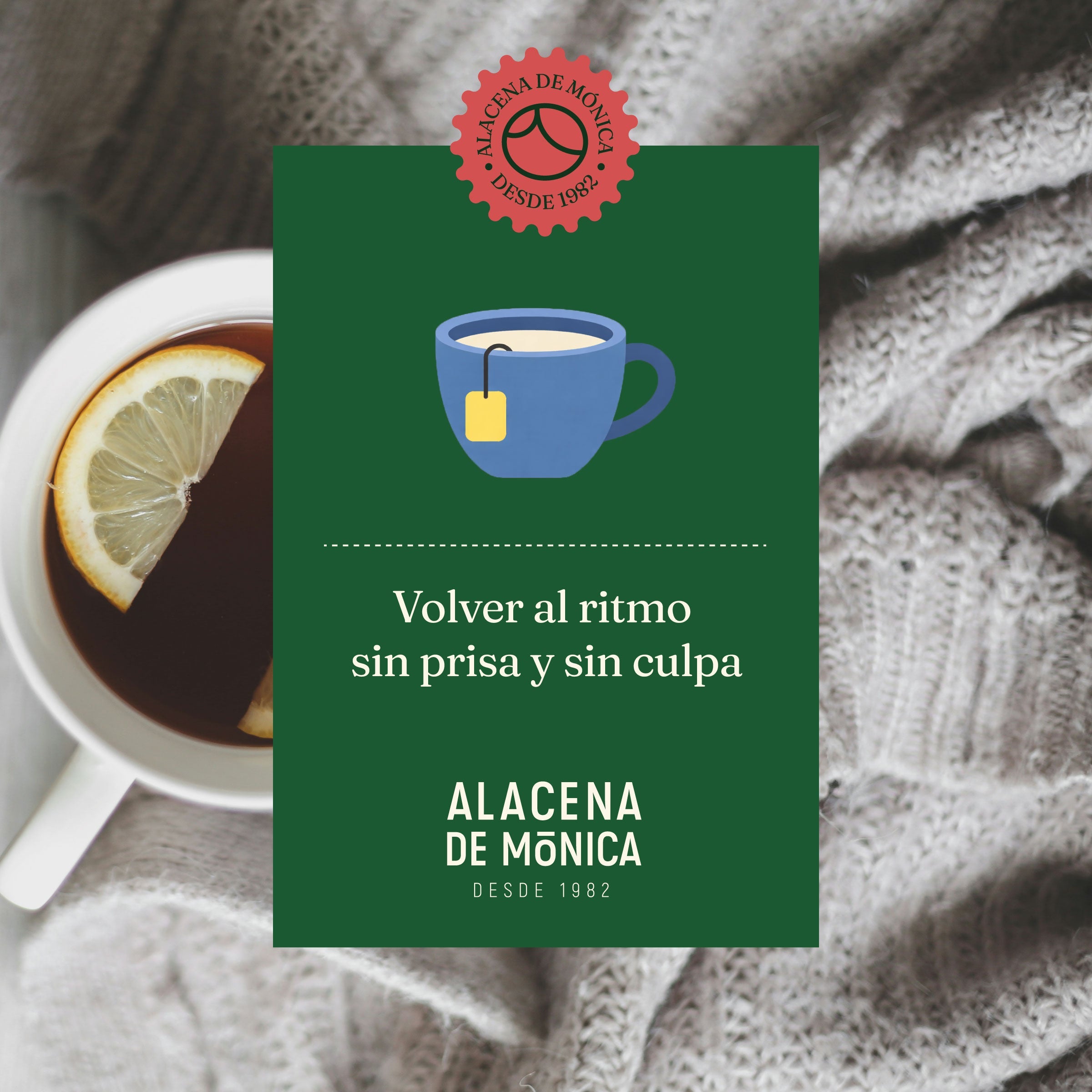 Volver al ritmo sin prisa y sin culpa