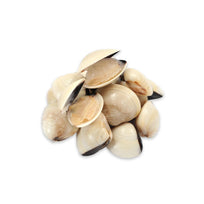 Almeja Blanca Portuguesa