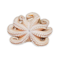 Pulpo Entero Crudo 4-6