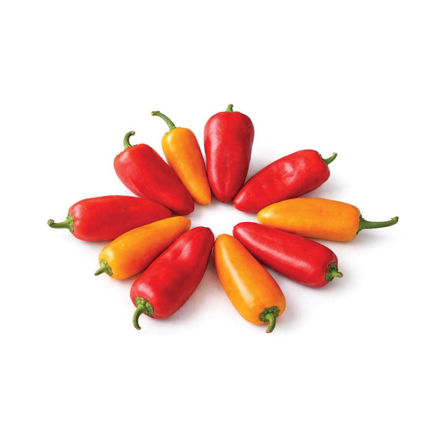 Pimiento Morrón Mini Orgánico