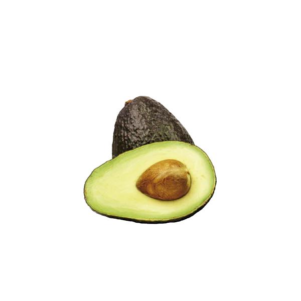 Aguacate Orgánico