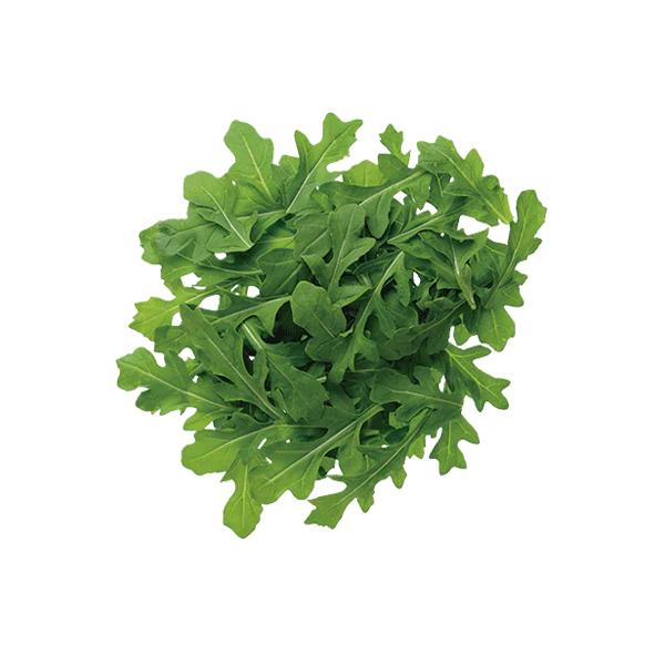Arúgula Baby Orgánica