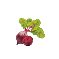 Betabel Orgánico