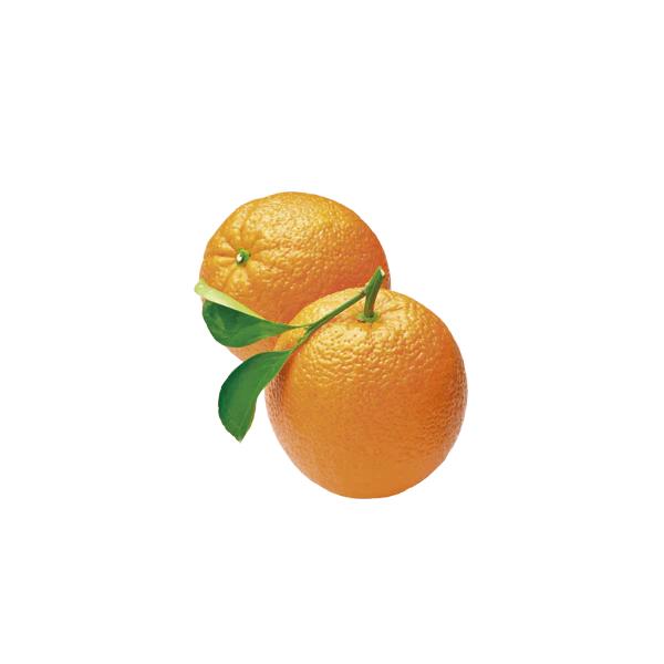 Naranja Orgánica
