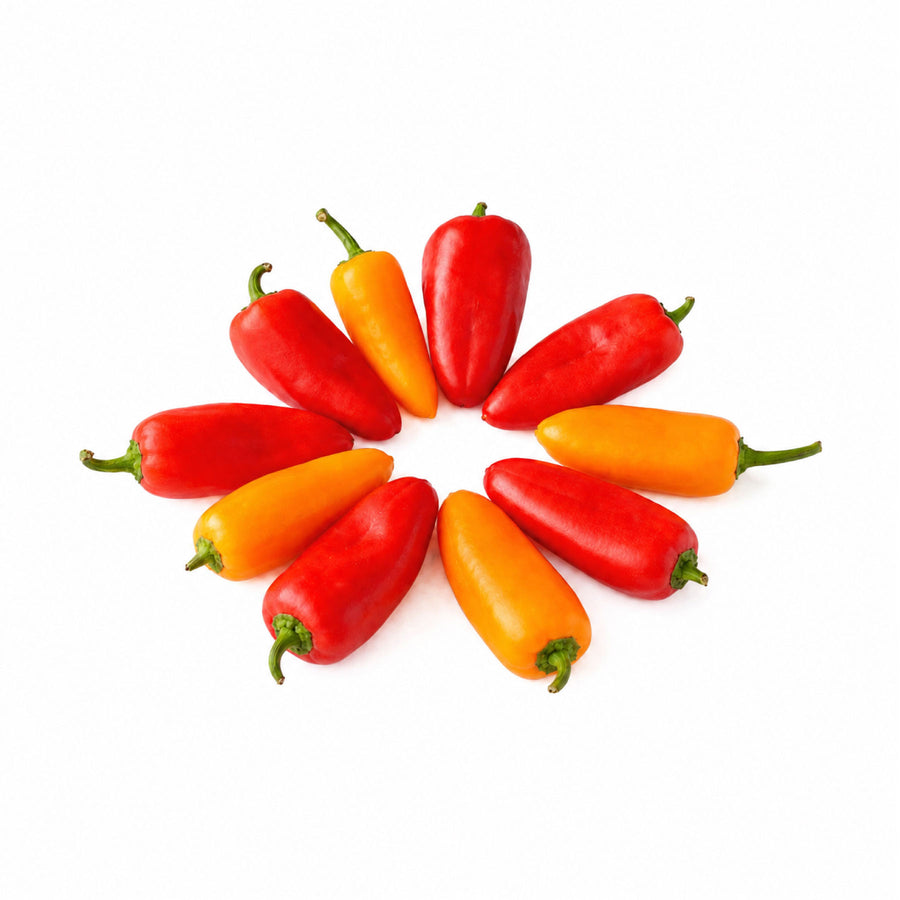Pimiento Morrón Mini Orgánico