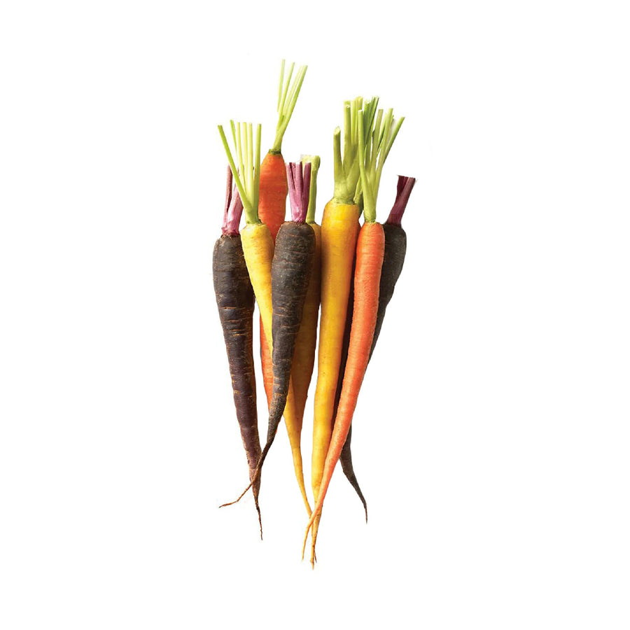 Zanahorias Orgánicas de Colores