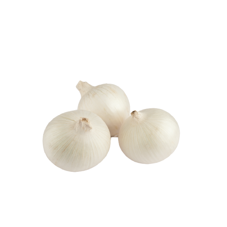 Cebolla Orgánica