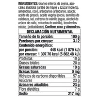 Granola Tostada con Arándanos y Almendras sin Gluten