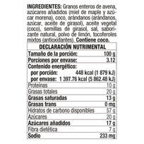 Granola Tostada con Limón y Mora Azul sin Gluten